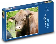 Krava Puzzle 1000 dielikov - 60 x 46 cm 
