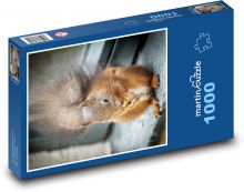 Veverka Puzzle 1000 - 60x46 cm