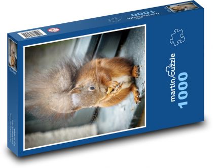 Eichhörnchen. - Puzzle - 1000 Teile