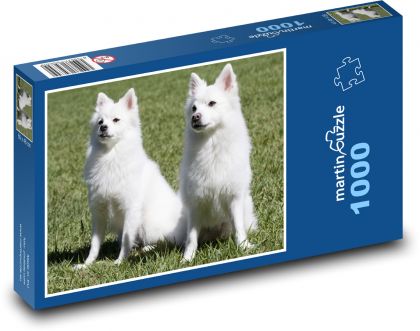 Špic - pes - Puzzle 1000 dílků, rozměr 60x46 cm