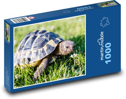 Korytnačka - Puzzle 1000 dielikov, rozmer 60x46 cm