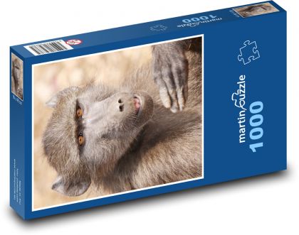 Affe - Pavian - Puzzle - 1000 Teile