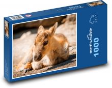 Finský lesní sob Puzzle 1000 - 60x46 cm