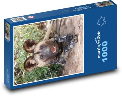 Dziki pies - Puzzle 1000 elementów, rozmiar 60x46 cm