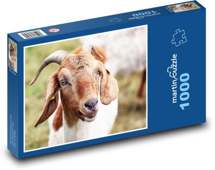 Koza - puzzle 1000 dílků