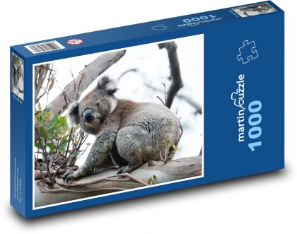 Koala - Puzzle 1000 elementów, rozmiar 60x46 cm