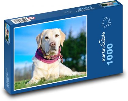 Dog - Pet - Puzzle 1000 pieces, size 60x46 cm 