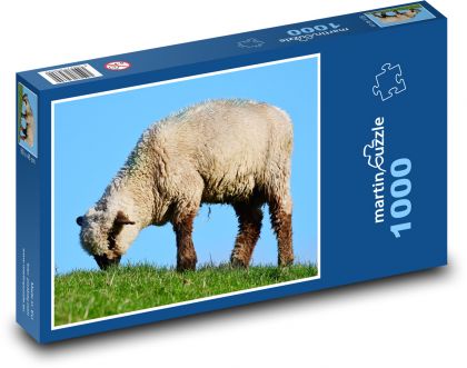 Schaf - Puzzle - 1000 Teile