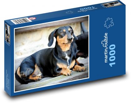 Dog - Dachshund - Puzzle 1000 pieces, size 60x46 cm 