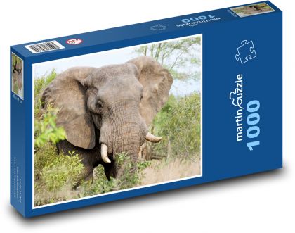 Slon - Afrika - Puzzle 1000 dielikov, rozmer 60x46 cm