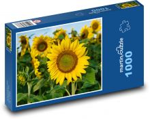 Sunflower Puzzle 1000 pieces - 60 x 46 cm 
