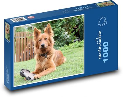 Hund - Harzer Fuchs - Puzzle - 1000 Teile