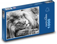 Lev - divoká kočka Puzzle 1000 - 60x46 cm