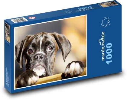 Pies - bokser - Puzzle 1000 elementów, rozmiar 60x46 cm