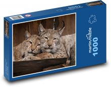 Rysi Puzzle 1000 elementów - 60x46 cm