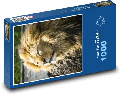 Lew - ssak - Puzzle 1000 elementów, rozmiar 60x46 cm