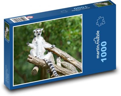 Monkey - lemur - Puzzle 1000 pieces, size 60x46 cm 