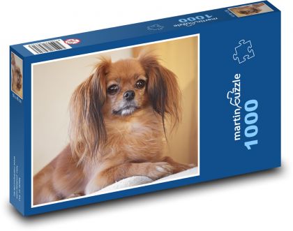 Pes - domáce zviera - Puzzle 1000 dielikov, rozmer 60x46 cm