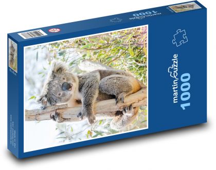 Koala - torbacz - Puzzle 1000 elementów, rozmiar 60x46 cm