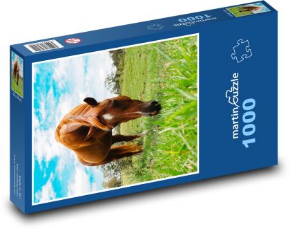 Koń - wypas - Puzzle 1000 elementów, rozmiar 60x46 cm