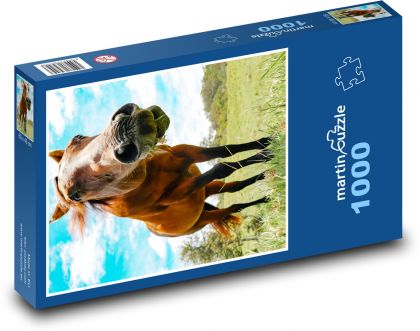 Animal - Horse - Puzzle 1000 pieces, size 60x46 cm 