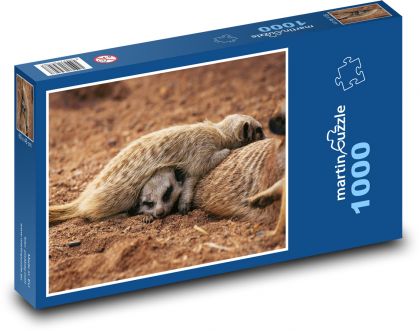 Surikata - savec - puzzle 1000 dílků