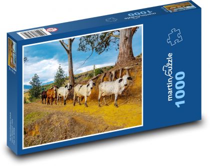 Cows - cattle - Puzzle 1000 pieces, size 60x46 cm 