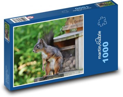 Veverička - hlodavec - Puzzle 1000 dielikov, rozmer 60x46 cm