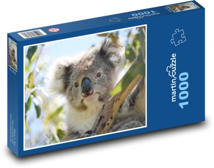 Koala - vačkovec - Puzzle 1000 dielikov, rozmer 60x46 cm