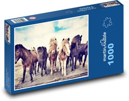 Konie islandzkie - Puzzle 1000 elementów, rozmiar 60x46 cm