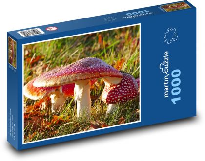 Grzyby, muchomorki - Puzzle 1000 elementów, rozmiar 60x46 cm