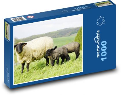 Owce - Puzzle 1000 elementów, rozmiar 60x46 cm