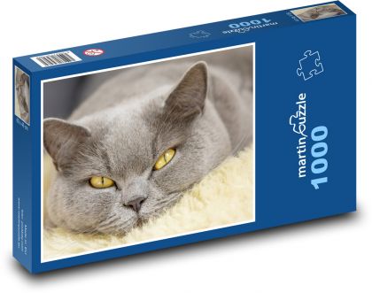 Domáca mačka - Puzzle 1000 dielikov, rozmer 60x46 cm