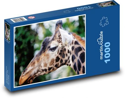 Žirafa - puzzle 1000 dílků