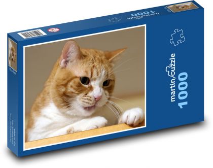 Kočka - puzzle 1000 dílků