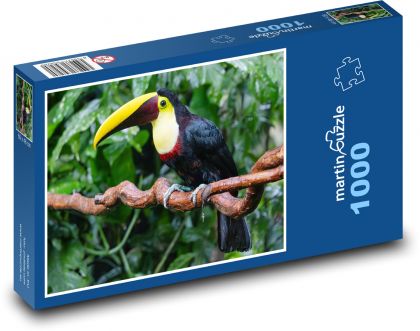 Tukan žlutohrdlý - Puzzle 1000 dílků, rozměr 60x46 cm