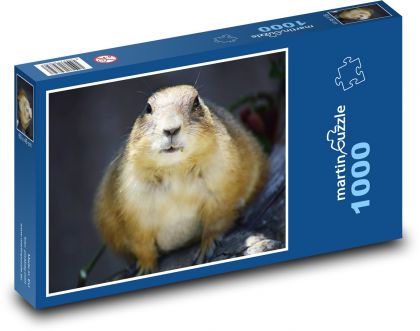 Pies preriowy - Puzzle 1000 elementów, rozmiar 60x46 cm