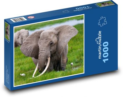 Slony - kly - Puzzle 1000 dielikov, rozmer 60x46 cm