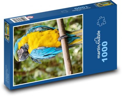 Sittich. - Puzzle - 1000 Teile