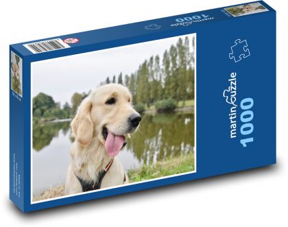 Zlatý retríver - pes - Puzzle 1000 dílků, rozměr 60x46 cm