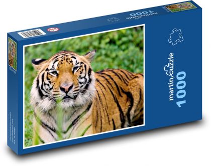 Cicavec - tiger - Puzzle 1000 dielikov, rozmer 60x46 cm