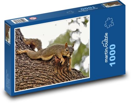 Braunhörnchen - Puzzle - 1000 Teile