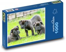 Dogs - Puppies Puzzle 1000 pieces - 60 x 46 cm 
