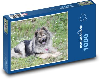 Hund - Eurasier - Puzzle - 1000 Teile