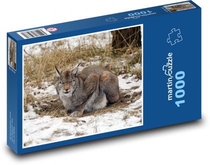 Rys - drapieżnik - Puzzle 1000 elementów, rozmiar 60x46 cm