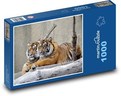 Sumatranský tiger - Puzzle 1000 dielikov, rozmer 60x46 cm