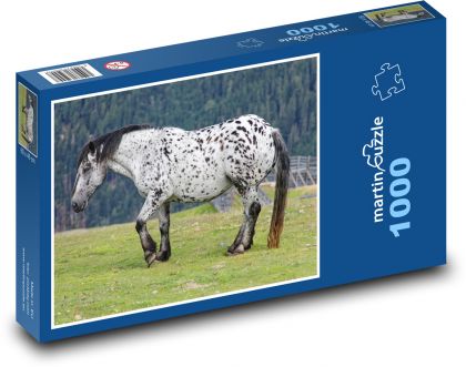 Horse - Puzzle 1000 pieces, size 60x46 cm 