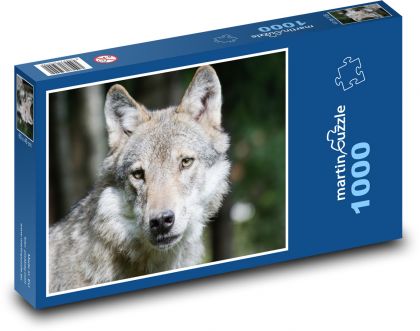 Wolf  - Puzzle 1000 pieces, size 60x46 cm 