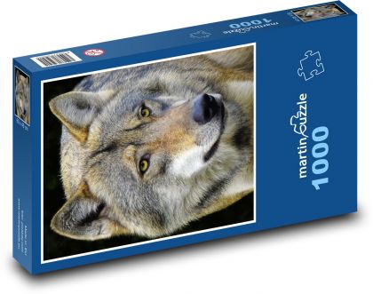 Vlk - puzzle 1000 dílků