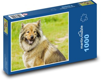 Eurasier - pies - Puzzle 1000 elementów, rozmiar 60x46 cm